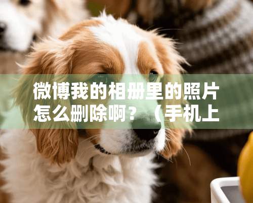 微博我的相册里的照片怎么删除啊？（手机上）