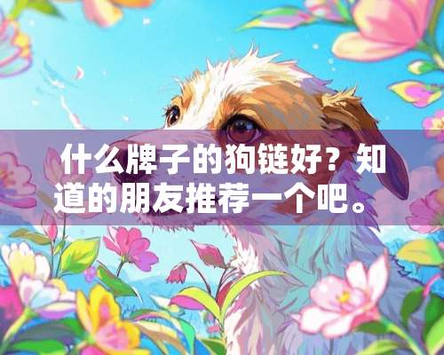 什么牌子的狗链好？知道的朋友推荐一个吧。 