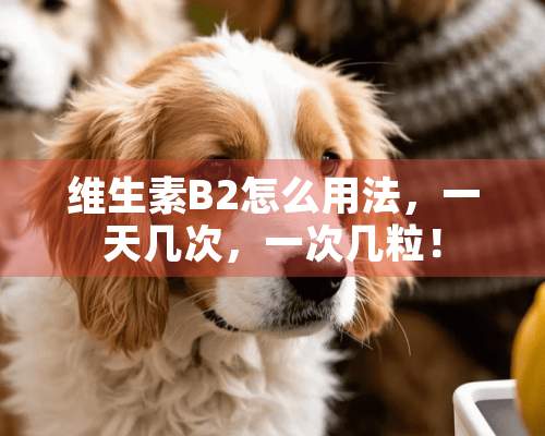 维生素B2怎么用法，一天几次，一次几粒！