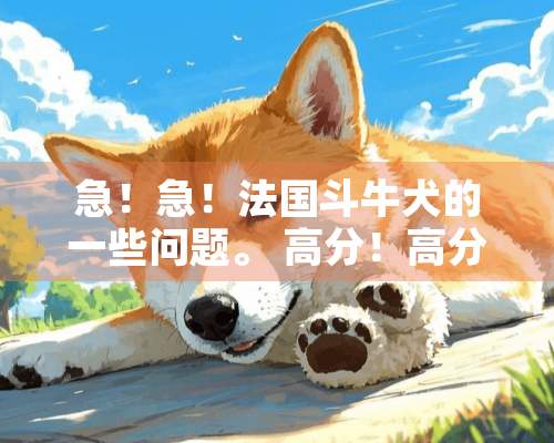 急！急！法国斗牛犬的一些问题。 高分！高分！