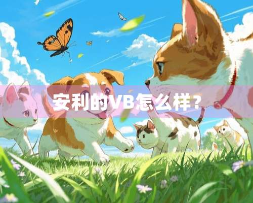 安利的VB怎么样？