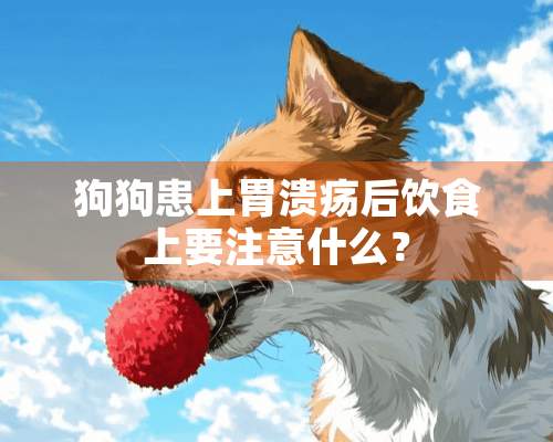 狗狗患上胃溃疡后饮食上要注意什么？