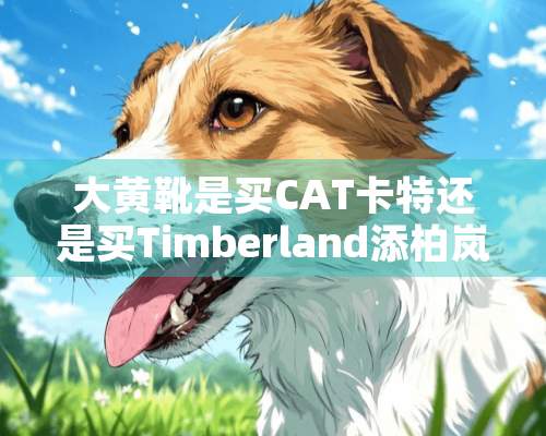 大黄靴是买CAT卡特还是买Timberland添柏岚？好纠结！求懂的人分享一下。