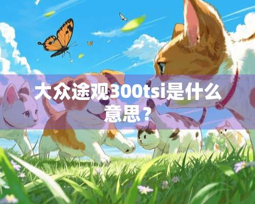 大众途观300tsi是什么意思？