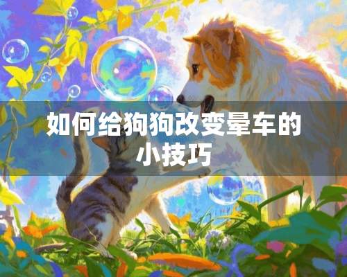 如何给狗狗改变晕车的小技巧