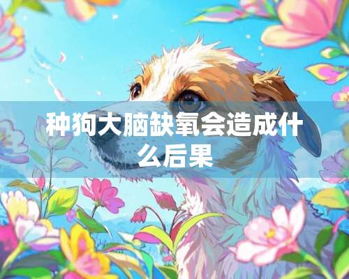 种狗大脑缺氧会造成什么后果