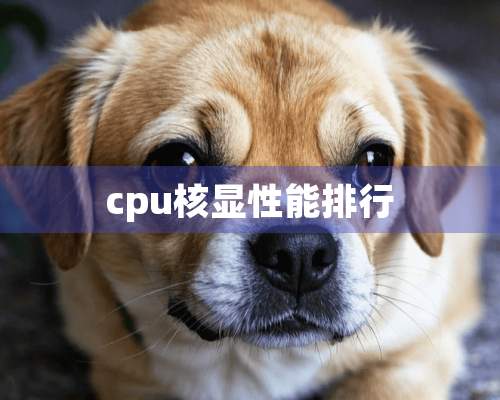 cpu核显性能排行