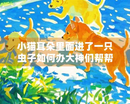 小猫耳朵里面进了一只虫子如何办大神们帮帮忙