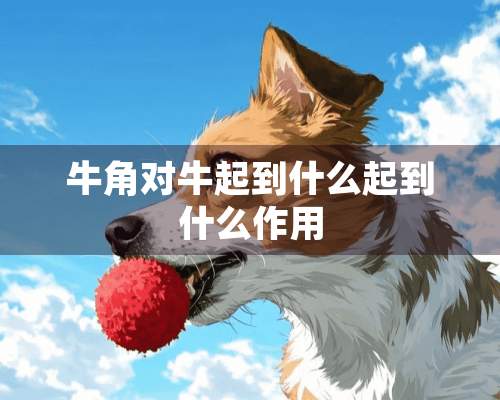 牛角对牛起到什么起到什么作用