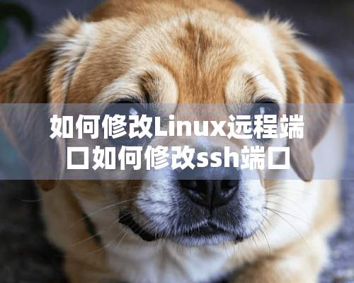 如何修改Linux远程端口如何修改ssh端口