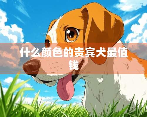 什么颜色的贵宾犬最值钱