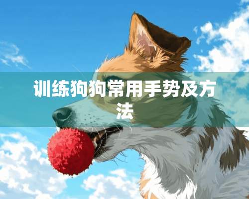 训练狗狗常用手势及方法