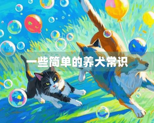 一些简单的养犬常识