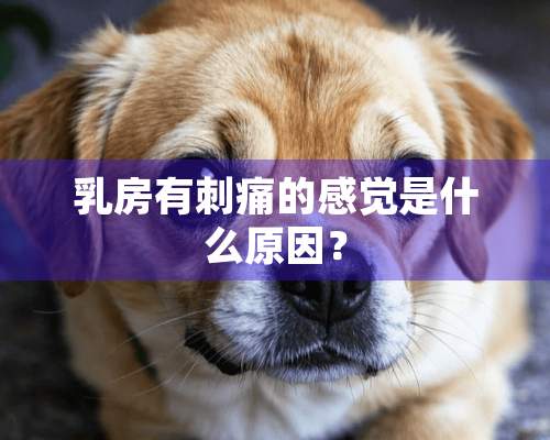 *房有刺痛的感觉是什么原因？