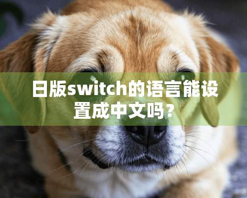 日版switch的语言能设置成中文吗？