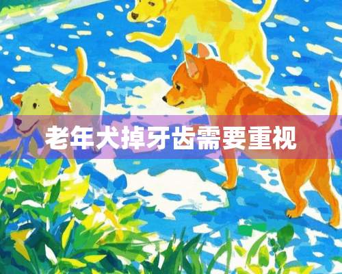 老年犬掉牙齿需要重视