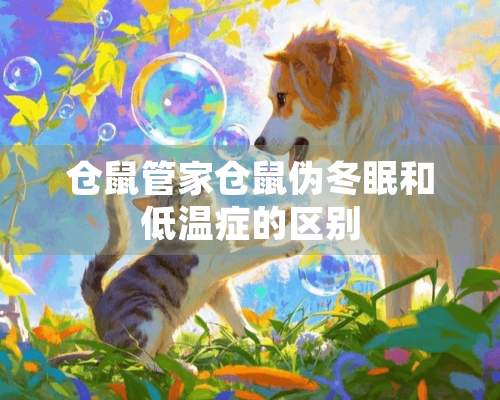 仓鼠管家仓鼠伪冬眠和低温症的区别