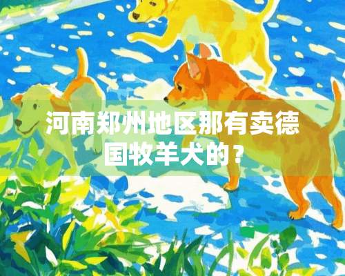 河南郑州地区那有卖德国牧羊犬的？