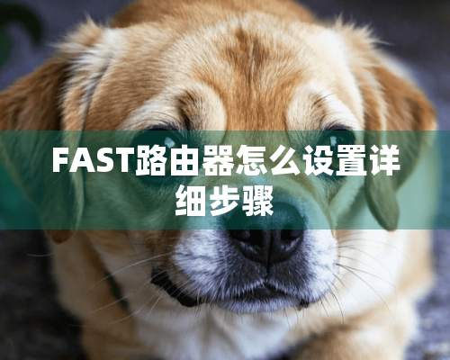 FAST路由器怎么设置详细步骤