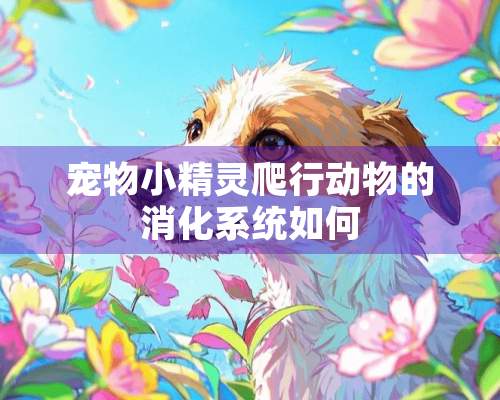 宠物小精灵爬行动物的消化系统如何