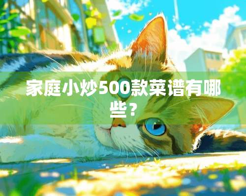 家庭小炒500款菜谱有哪些？