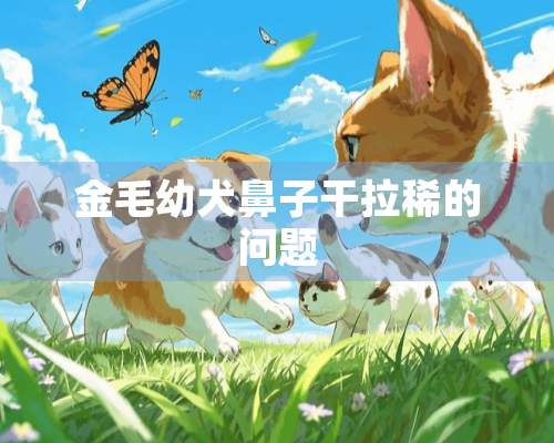 金毛幼犬鼻子干拉稀的问题