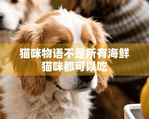 猫咪物语不是所有海鲜猫咪都可以吃