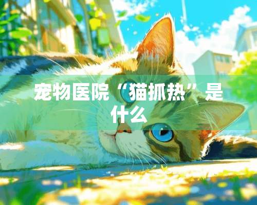 宠物医院“猫抓热”是什么