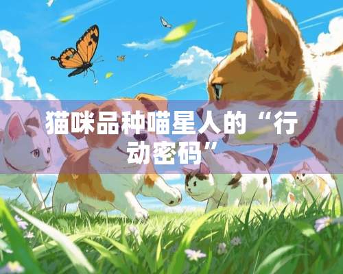 猫咪品种喵星人的“行动密码”