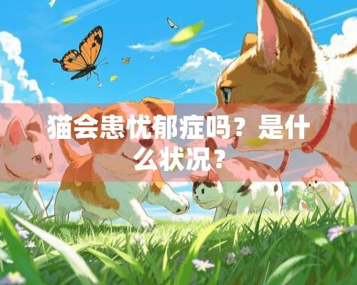 猫会患忧郁症吗？是什么状况？