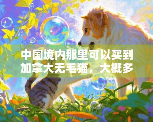 中国境内那里可以买到加拿大**猫，大概多少钱，可以活多长时间