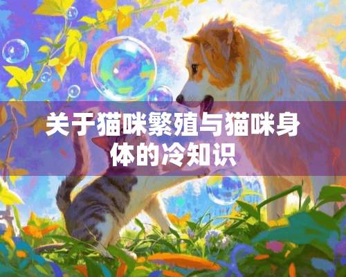 关于猫咪繁殖与猫咪身体的冷知识