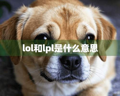 lol和lpl是什么意思