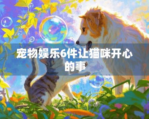 宠物娱乐6件让猫咪开心的事