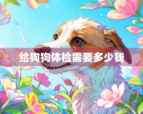 给狗狗体检需要多少钱