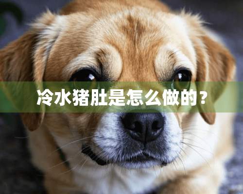 冷水猪肚是怎么做的？