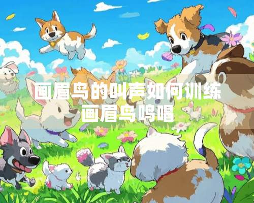 画眉鸟的叫声如何训练画眉鸟鸣唱