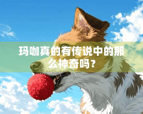 玛咖真的有传说中的那么神奇吗？