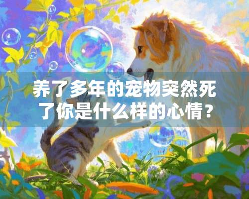 养了多年的宠物突然死了你是什么样的心情？