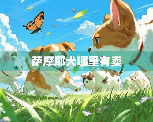 萨摩耶犬哪里有卖