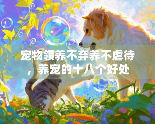 宠物领养不弃养不**，养宠的十八个好处