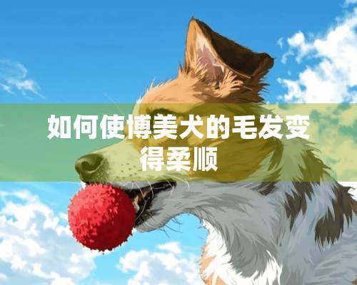 如何使博美犬的毛发变得柔顺