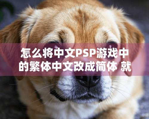 怎么将中文PSP游戏中的繁体中文改成简体 就说怎么改吧 找哪个文件