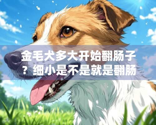 金毛犬多大开始翻肠子？细小是不是就是翻肠子？