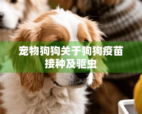 宠物狗狗关于狗狗**接种及驱虫