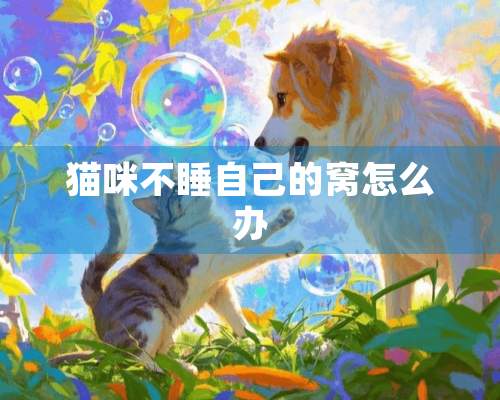 猫咪不睡自己的窝怎么办