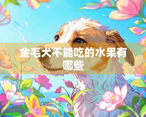 金毛犬不能吃的水果有哪些