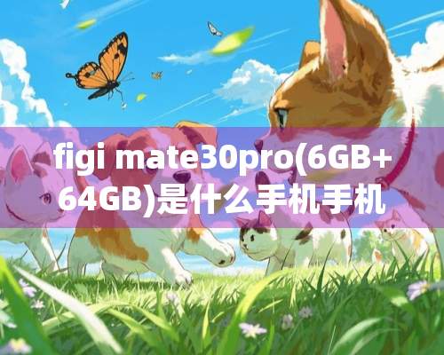 figi mate30pro(6GB+64GB)是什么手机手机？