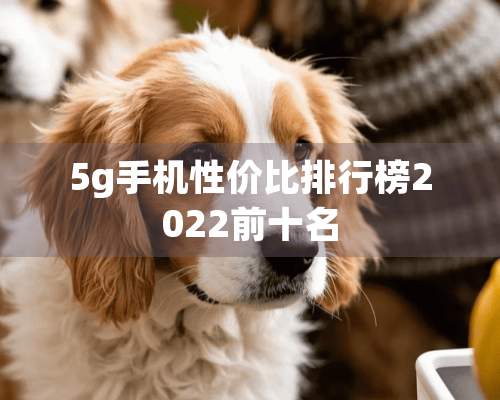 5g手机性价比排行榜2022前十名