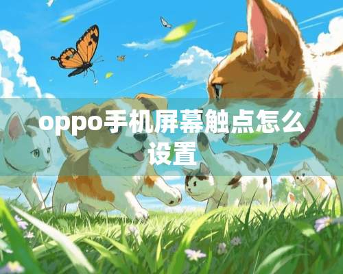 oppo手机屏幕触点怎么设置